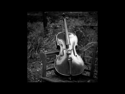 Wander My Friends (Cello Cover)