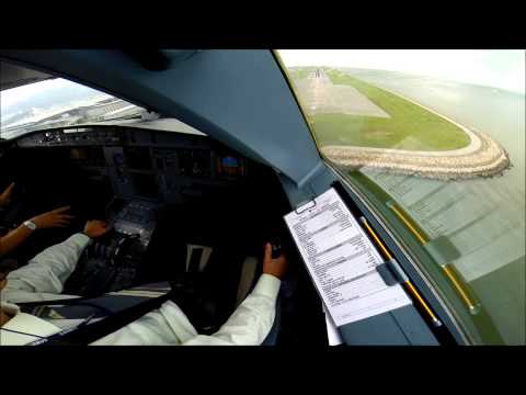 Airbus A320 HD Cockpit Scene - Landing at HONG KONG