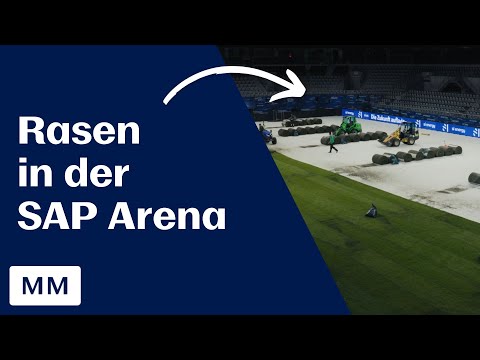 Frischer Rasen für die Faustball-WM in der Mannheimer SAP Arena