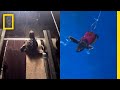 Watch Baby Sea Turtles Run On Treadmills For Science National Geographic