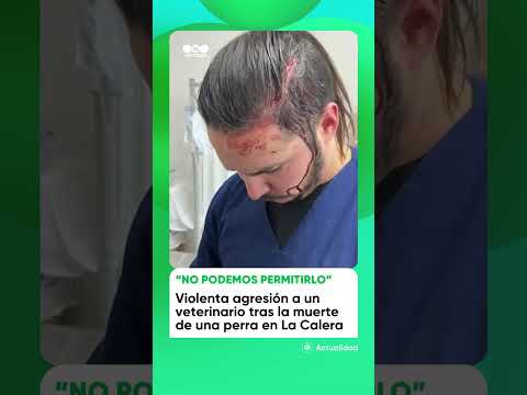 🐕 Violenta agresión a un veterinario tras la MUERTE de una perra en LA CALERA 🐕