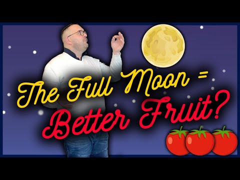 Can a FULL MOON really give you BETTER FRUIT?