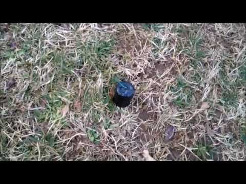 Petardo Artigianale 13 grammi