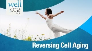 Can A Healthy Lifestyle Reverse Cell Aging? | Well.Org