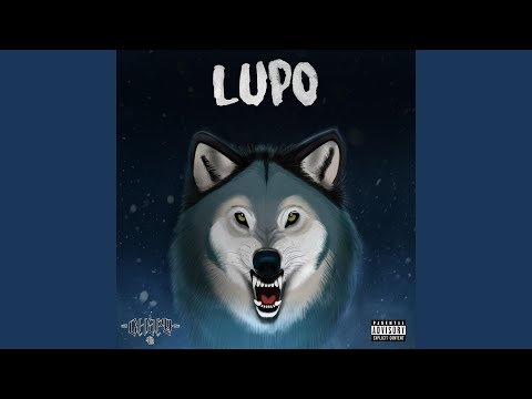 Lupo