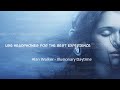 Alan Walker Illusionary Daytime