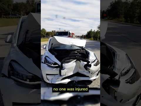 Tesla Autopilot Takes the Hit to Avoid Pedestrian
