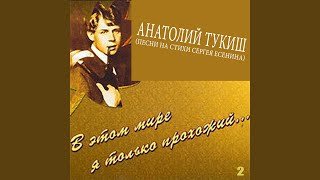 Evening Knits Black Browns