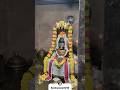 ArunachalaShiva Vibes Tiruvannamalai Arunachaleswarartemple Yt