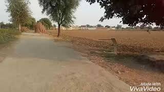 preview picture of video 'Saimli dilawar entry alwar rajasthan'