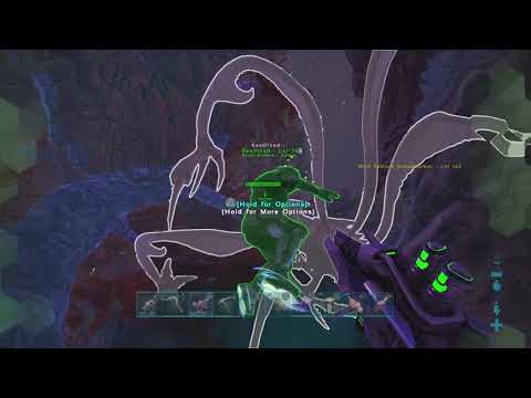 How to tame spider fast with no blood packs in gen 2