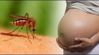 Afla ce virus ar putea distruge omenirea. Si, nu, nu este vorba despre HIV!