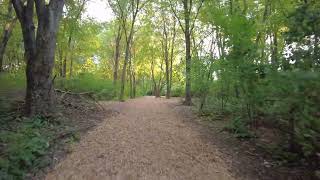 An evening walk through a nearby park | Osmo DJI Pocket
