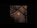 eleanor rigby - the beatles (slowed + reverb)