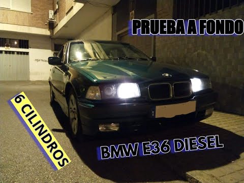 dogmaflow’s Video 170167875578 XtlXHbxlnDU