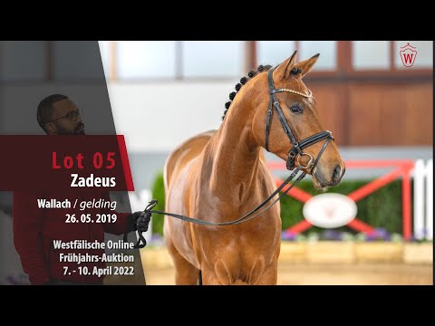 Online Frühjahrs-Auktion Lot 5 Zadeus Wallach v. Zoom - Ehrenpreis