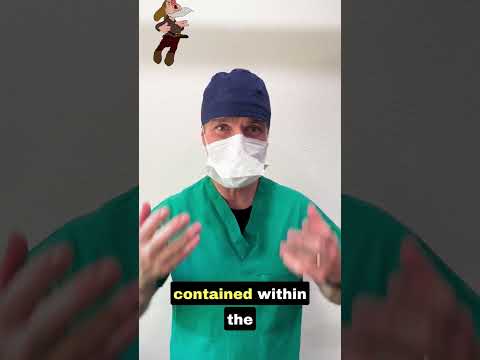 DOC - Wonder what happens when a surgeon sneezes during surgery?  #achoo #sneeze