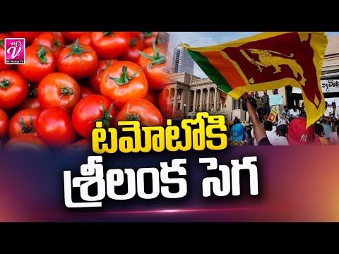 Tomato Price | టమాటా కు శ్రీలంక సెగ | Srilanka Crisis Tomato Prices