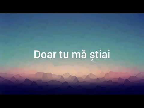 Floare cu venin CHRISS feat. DIZO (Lyrics)