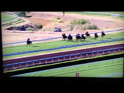 Danas Best Barrier Trial - Randwick 31/01/14