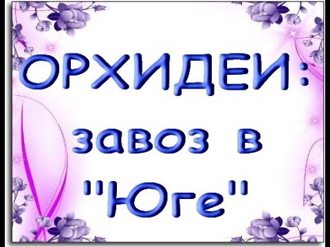 ОРХИДЕИ в "Юге",17.08.19.Купила МУТАНТА,приветы Наталье и двум Ларисам :))