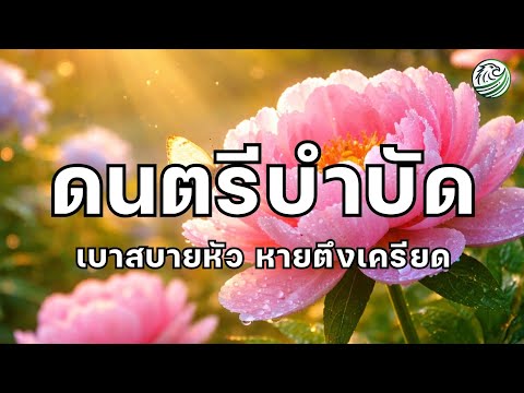 ดนตรีบำบัด เบาสบายหัว หายตึงเครียด ดนตรีผ่อนคลาย เพลงบำบัดความเครียด เพลงบำบัดจิตใจ relaxing music