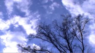 Psalm 1 Sons of Korah