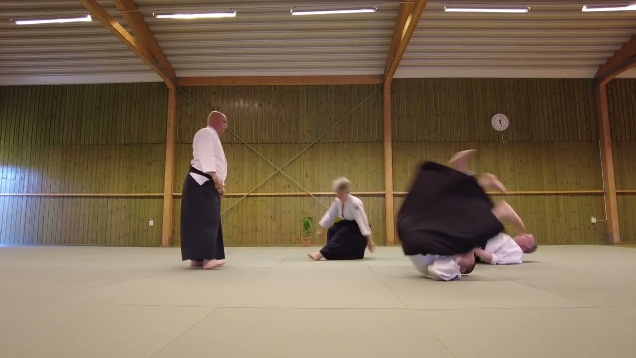 Tsuzukiwasa 20
