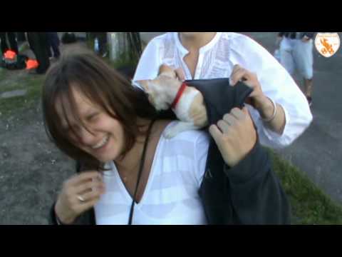 Hard Balls Utd. - Futbol Klub Wrocław 4:0 (17.06.10)