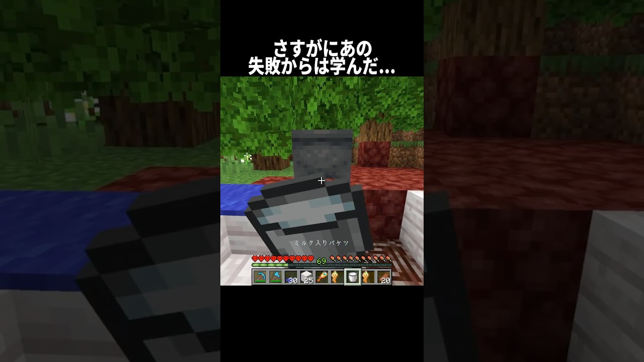 さすがにあの失敗からは学んだ... #shorts #マインクラフト#マイクラ