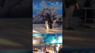 Amazing Sea Lions Dancing the Conga to Gloria Estefan &amp; Miami Sound Machine | #shorts
