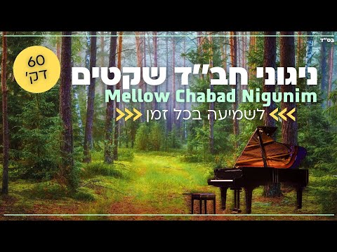 An Hour Of Mellow Chabad Nigunim (Piano) / Shneor Lerer