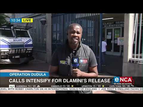 Calls intensify for Dlamini's release