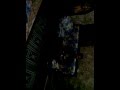 shery funny clip - YouTube