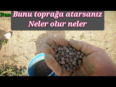 TOPRAĞA JİPS VE LEONARDİT ATMANIN FAYDALARI