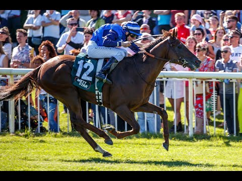 WETTSTAR.de Silberne Peitsche