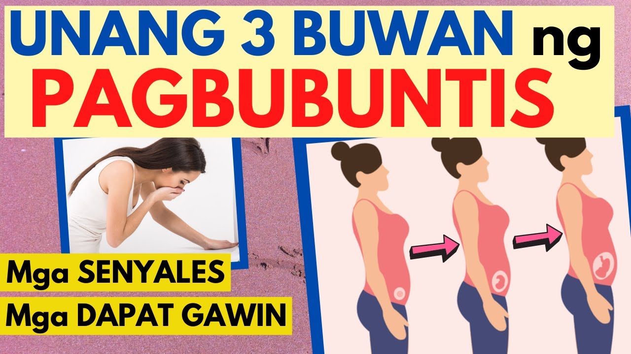 Putar video 🤰 BUNTIS sa unang 3 BUWAN - Mga Senyales at mga DAPAT GAWIN sa 1st TRIMESTER | PAGBUBUNTIS TIPS sekarang 🤰 BUNTIS sa unang 3 BUWAN - Mga Senyales at mga DAPAT GAWIN sa 1st TRIMESTER | PAGBUBUNTIS TIPS