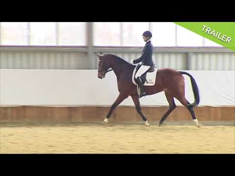 Tipps für mehr Losgelassenheit auf dem Turnier | Ingrid Klimke