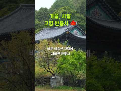 가을...천년 사찰 고령 반룡사 #고령군SNS기자단 최윤하