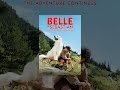 Belle & Sebastian: The Adventure Continues