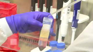 Indy Central Lab   Specialty Testing