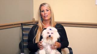 preview picture of video 'Hancock Veterinary Services - Short | Springdale, AR'