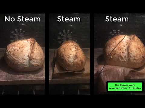 Steam vs. No Steam Hamelman's Five-Grain Levain