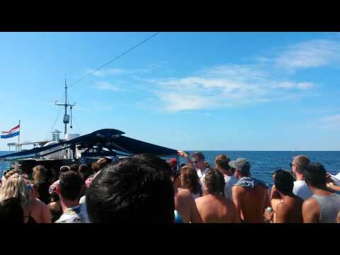 Boat Party Hyperdub @ Dimensions 2014