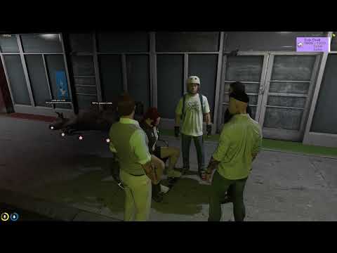 "What is that text message" Reggie reads Ash's text KEKW – GTA V