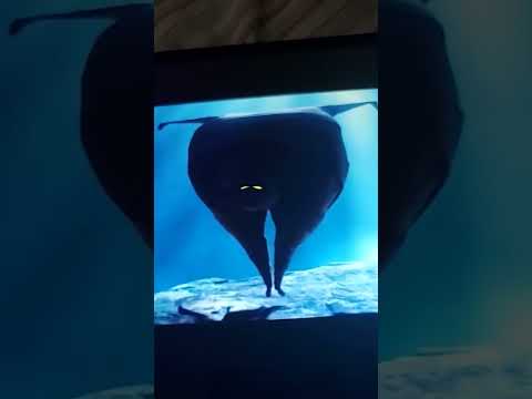 summoning rosado mc Donald at 3 am