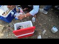 Environmental Science Internship And Sampling EPCO Bhopal Mp Environment Environmental