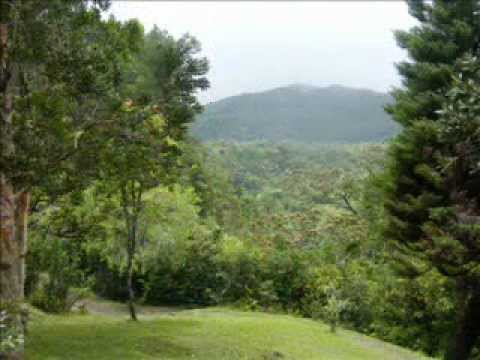 ah duniya ba - bhojpuri song