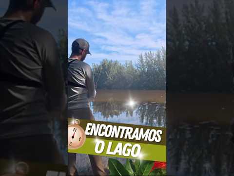 ENCONTRAMOS LAGO| Vídeo completo na BIO! #pesca  #floresta  #eua  #florida