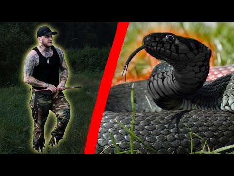 OGROMNE WĘŻE NAD POLSKIMI JEZIORAMI! PONAD 2 METRY!